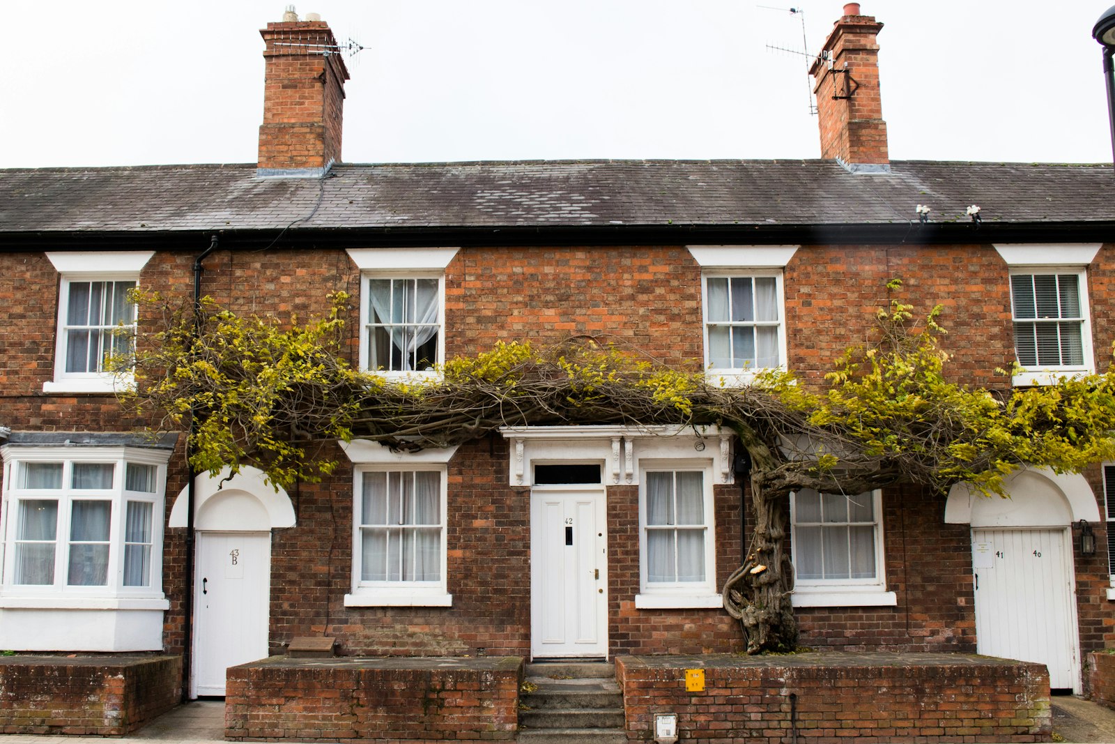 A pair of semi-detached houses