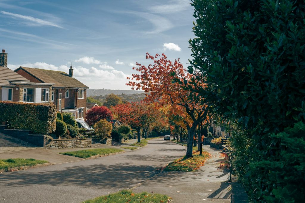 A pair of semi-detached houses