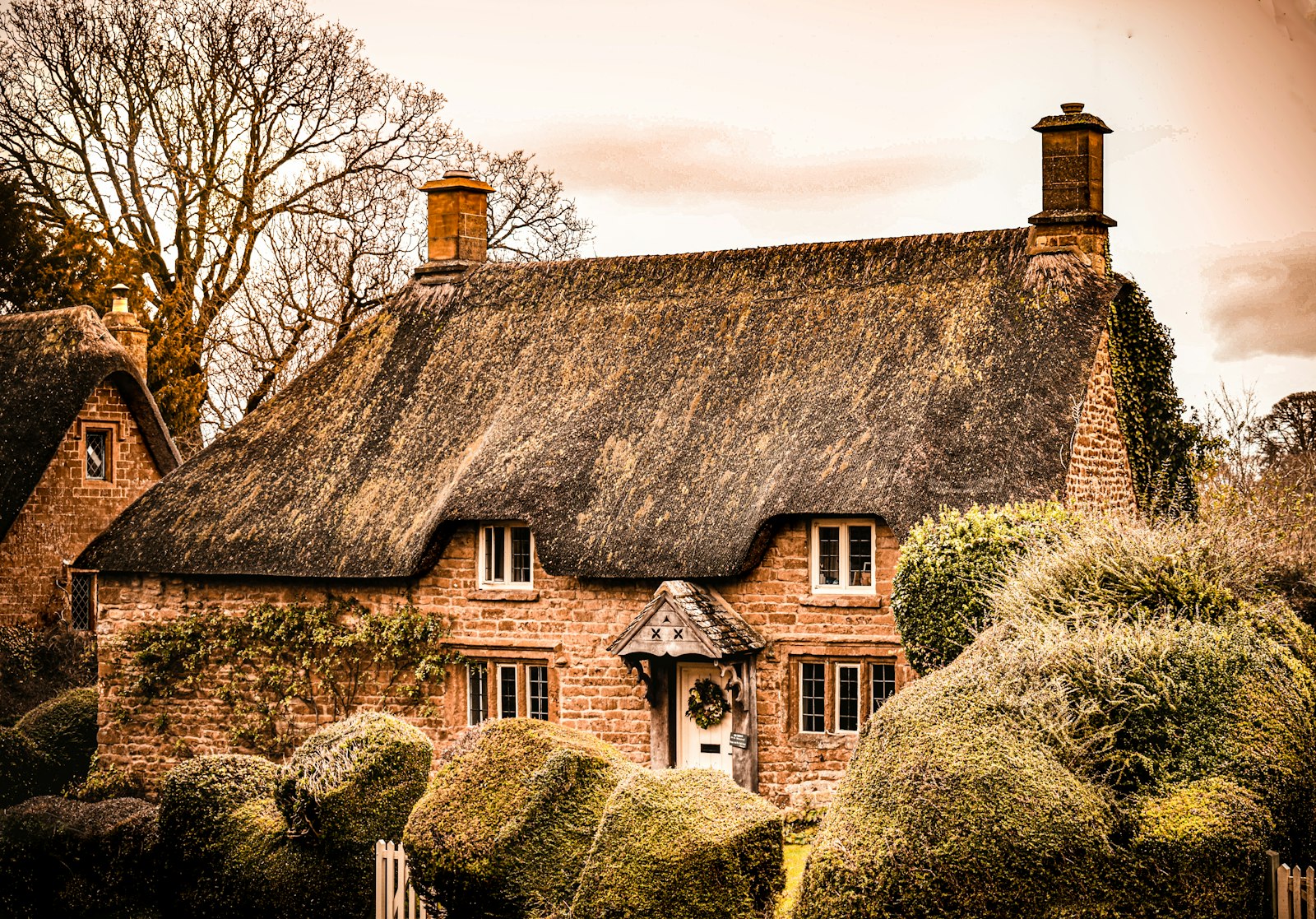 A cottage with a garden